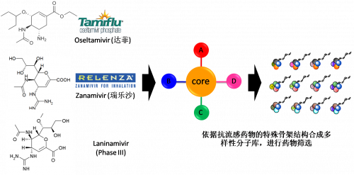 图2：以现有抗流感药物的结构为基。卸嘌砸┪锓肿涌獾暮铣。