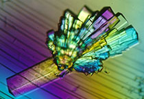 PD-1抑制剂成“抗癌神器”，国内外企业进展如何？