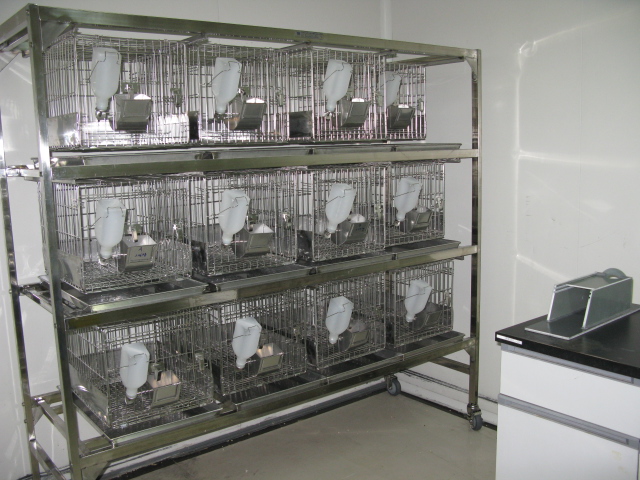 HJC黄金城平台普亚新动物房通过上海动管会验收