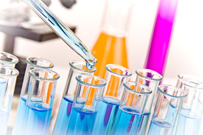 HJC黄金城平台生物实验