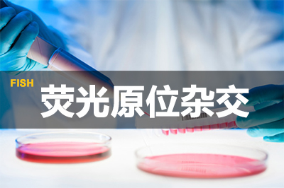 HJC黄金城平台荧光原位杂交技术