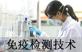 HJC黄金城平台免疫学检测技术分析服务