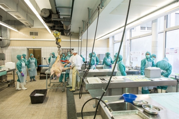 全球医药市场超万亿美元，Top10累计份额超过三成