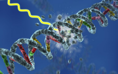 Nature：癌症治疗发现新靶点