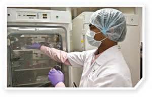 Science：癌症免疫疗法“新靶点”——Cdk5