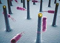 未来的药丸里，可能有一万亿个人工改造的细菌？