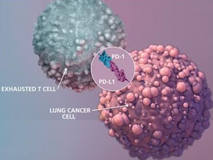 2017年度巨献：癌症免疫疗法重磅级研究解读