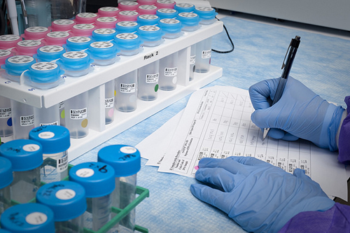 浅谈：创新药物IND申请之药学研究