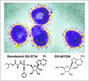 基于细胞因子风暴和免疫炎症反应综合征，很多免疫相关靶点也可以列为冠状病毒的靶点。