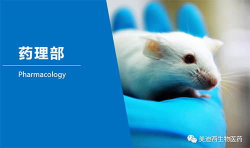 HJC黄金城平台药理部开发了肺癌、结肠癌、胃癌等12种PDX模型。