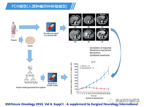 HJC黄金城平台PDX模型