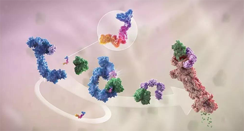 LYTAC出世，与PROTAC并肩作战针对不可成药的靶点