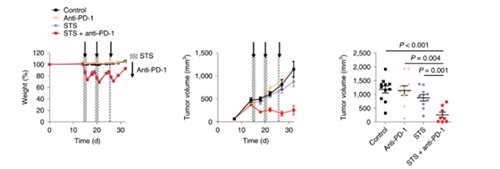 与对照组及仅使用PD-1疗法的模型小鼠对比，采用短期饥饿配合PD-1疗法的393P细胞同源移植肿瘤小鼠体内的肿瘤体积有了明显的收缩。