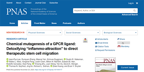 世界首创：药物将干细胞引导至受损部位，提高其愈合能力！