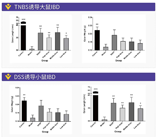 TNBS诱导的大鼠IBD、DSS诱导的大鼠IBD
