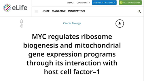 可以“融化”肿瘤的蛋白质，你一定没有听说过！