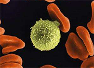 Science子刊：一种FDA批准的抗腹泻药物可有效对抗化疗的耐药性