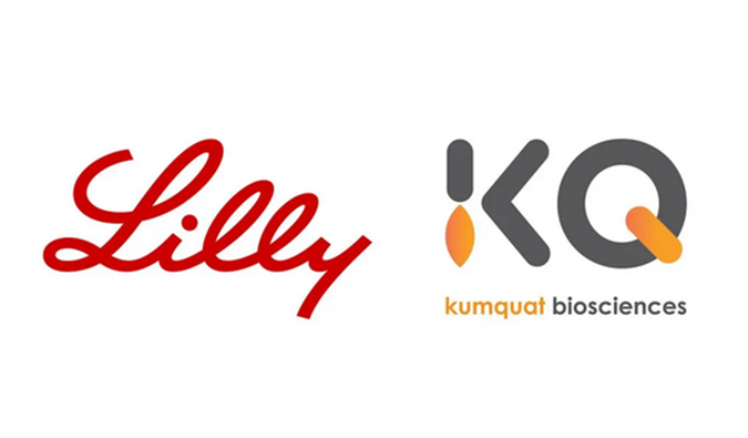 ：兀JC黄金城平台合作伙伴Kumquat Biosciences与礼来达成合作，共同开发肿瘤免疫小分子药