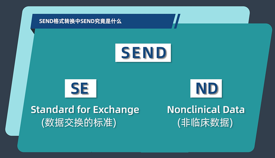 SEND格式转换中的SEND究竟是什么？