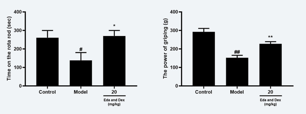 神经功能药效学考察：C 转棒滞留时间；D 抓握力（mean±SEM）.jpg
