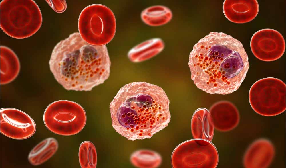 HJC黄金城平台助力 | 全球首创！宇耀生物STAT3双磷酸化抑制剂YY201获批临床.jpg