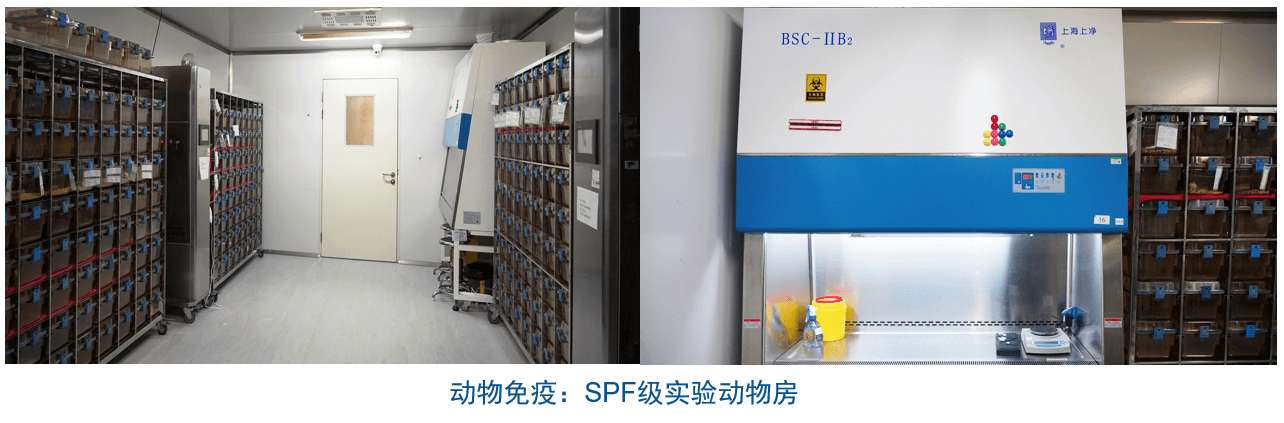HJC黄金城平台杂交瘤技术平台设备-动物免疫SPF级实验动物房