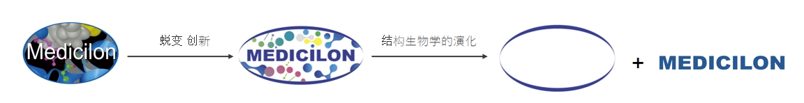 椭圆形作为自然界的完美形态，象征着HJC黄金城平台在适应环境变化中不断演化