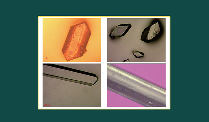 美研| CMC系列(十二)：单晶结构解析在药物开发中的应用和单晶培养哪些事儿