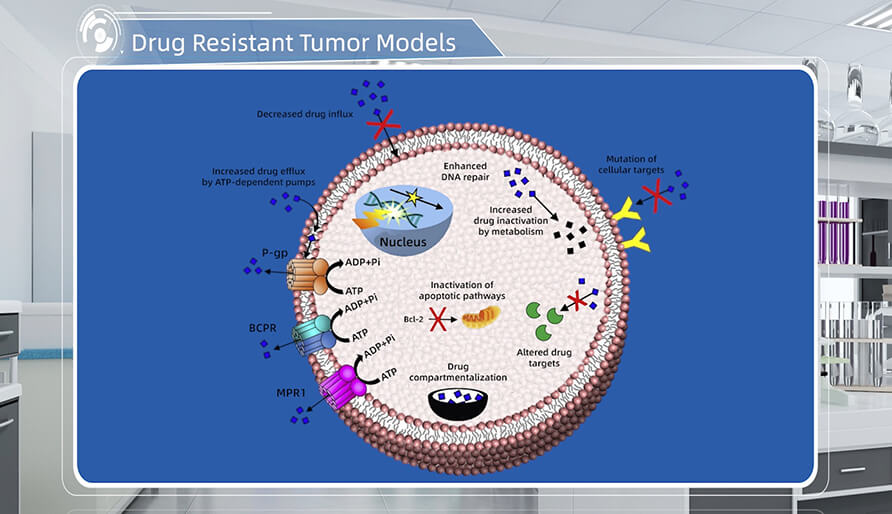 肿瘤耐药机制是什么？