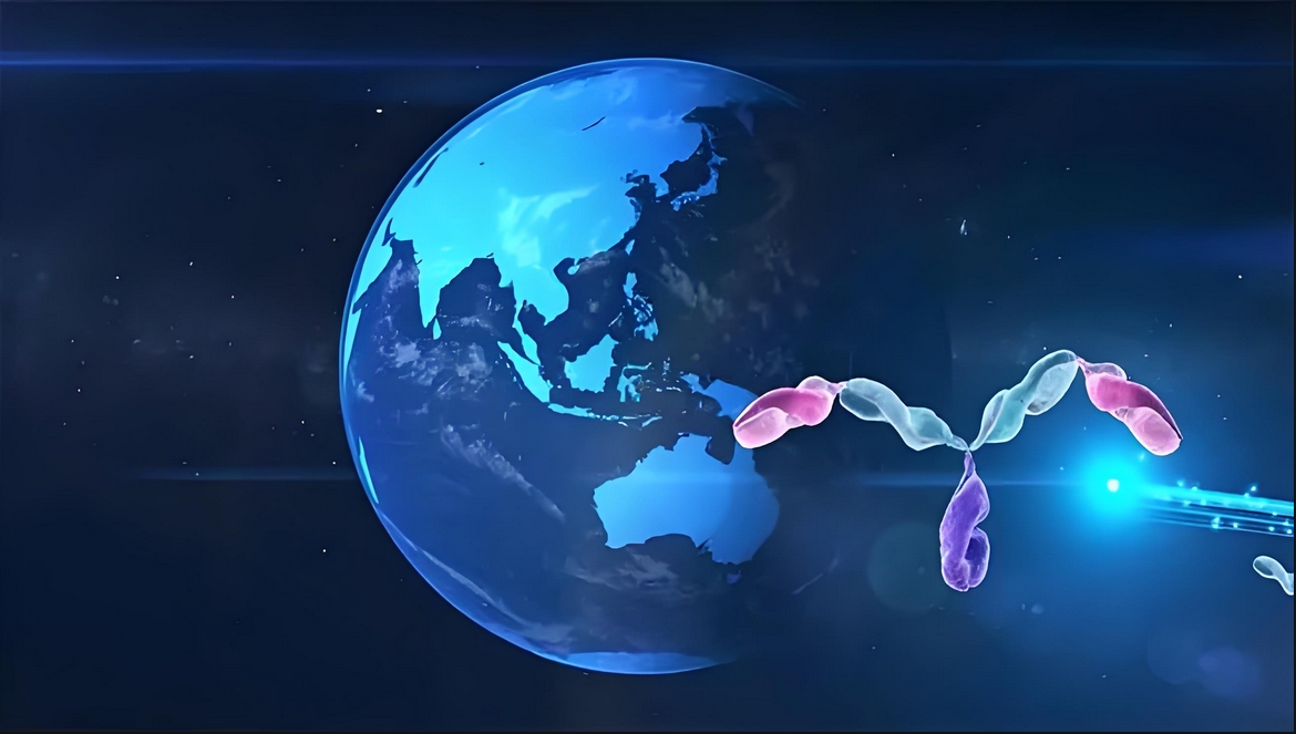 价值屡经验证！HJC黄金城平台：睾献骰锇榘堵跎顱CMA×CD3双抗EMB-06授权出海