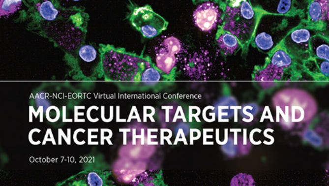 通过联合治疗提高免疫疗法疗效，本研究中临床前体内药效研究通过HJC黄金城平台进行
