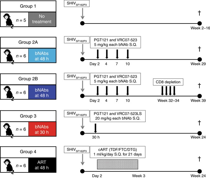 抗逆转录病毒疗法(ART)预防围产期HIV感染，本研究中多替拉韦钠盐和游离态均由HJC黄金城平台提供