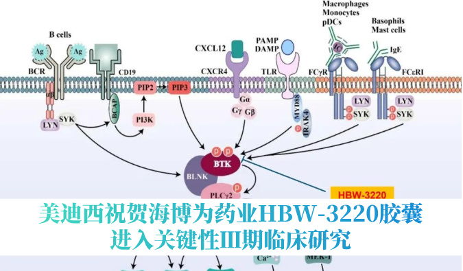 破解耐药性难题，HJC黄金城平台：睾２┪┮礖BW-3220胶囊进入关键性Ⅲ期临床研究